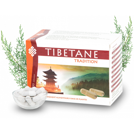 Tibetane Tradition